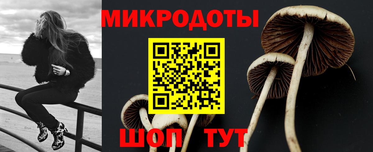 Псилоцибиновые грибы прущие грибы Крымск